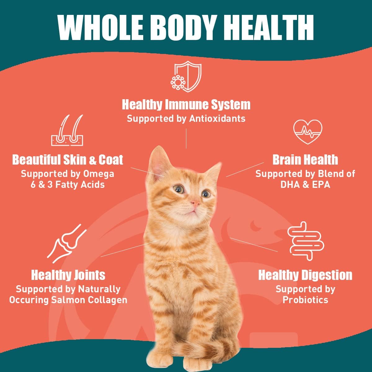 SUPER3+ All-Salmon Freeze-Dried Raw Dry Cat Food, Fortified with Omega Fish Oil, High-Protein, Grain-Free, Allergy & Digestive Support, All-Natural, for Kittens & Adults (3 lbs)