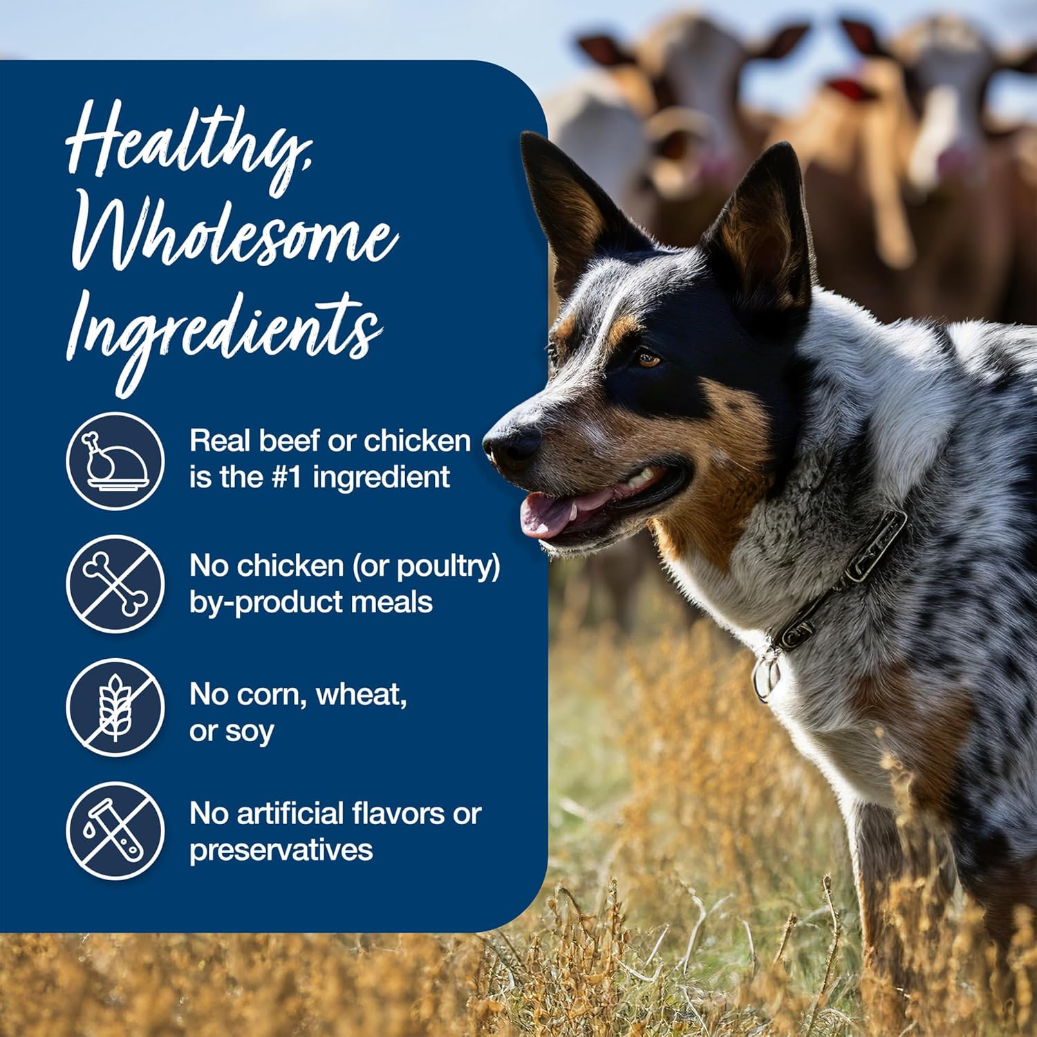 Blue Buffalo Blue’s Stew Natural Wet Dog Food, Made with Natural Ingredients, Hearty Beef and Country Chicken Variety Pack, 12.5-oz. Cans, 6 Count