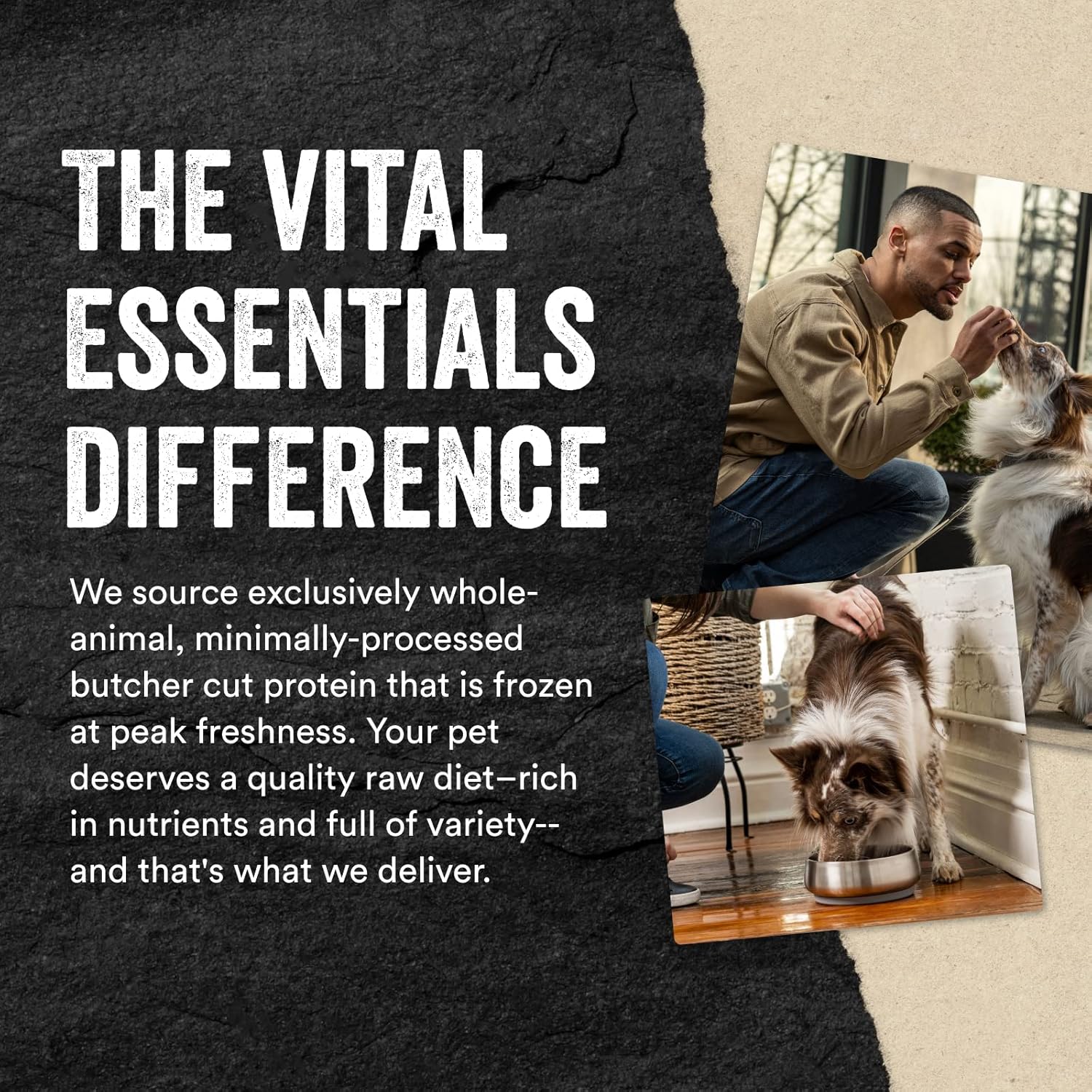 Vital Essentials® Freeze-Dried Raw Beef Entree & Mixer Dog Food Crunchy Mini Nibs, 14 oz