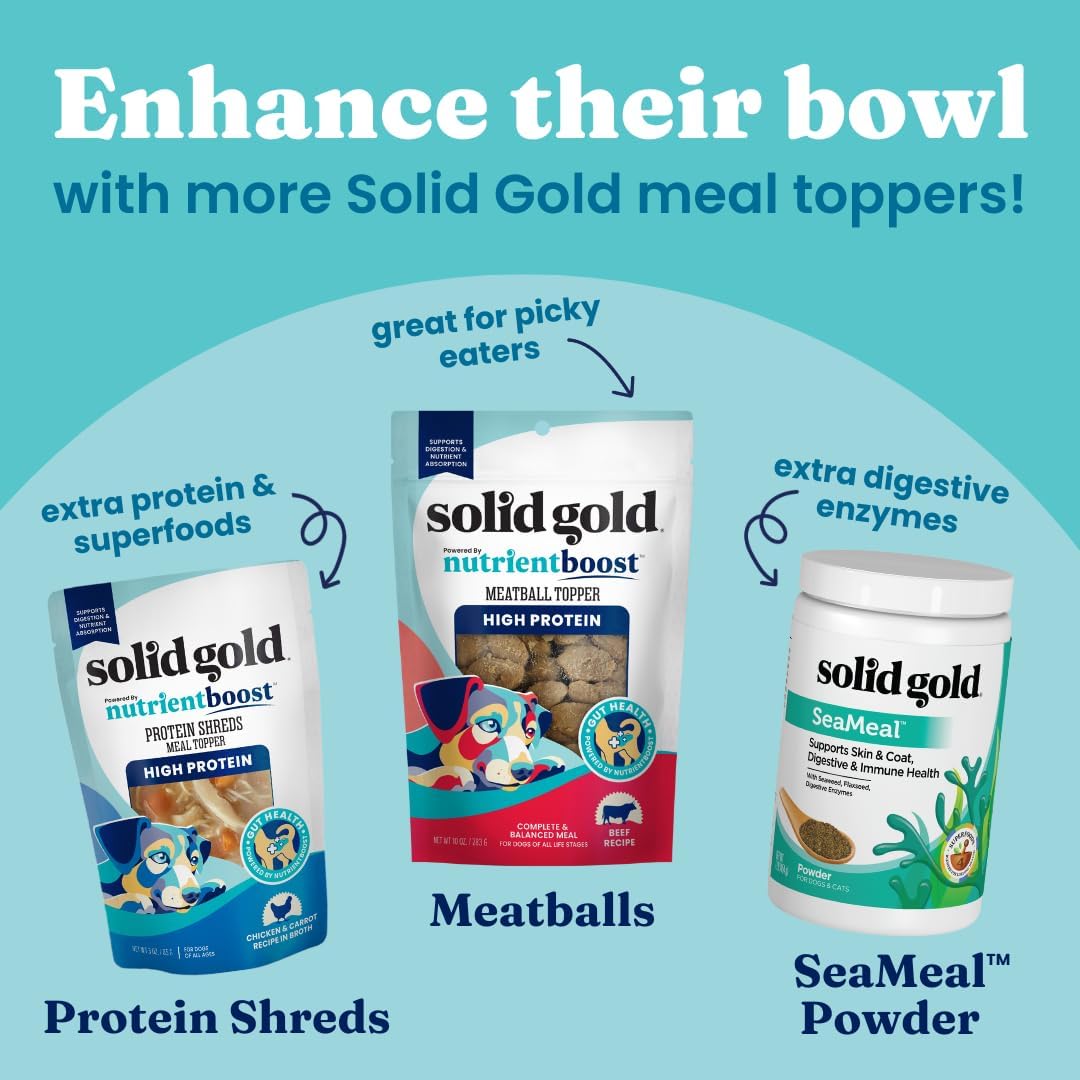 Solid Gold Air Dried Dog Food Toppers for Picky Eaters – Healthy Dog Treats Made with Real Beef to Serve as Meal Topper or Dog Treat – Supports Muscle Growth, Immunity, and Healthy Digestion – 4 oz