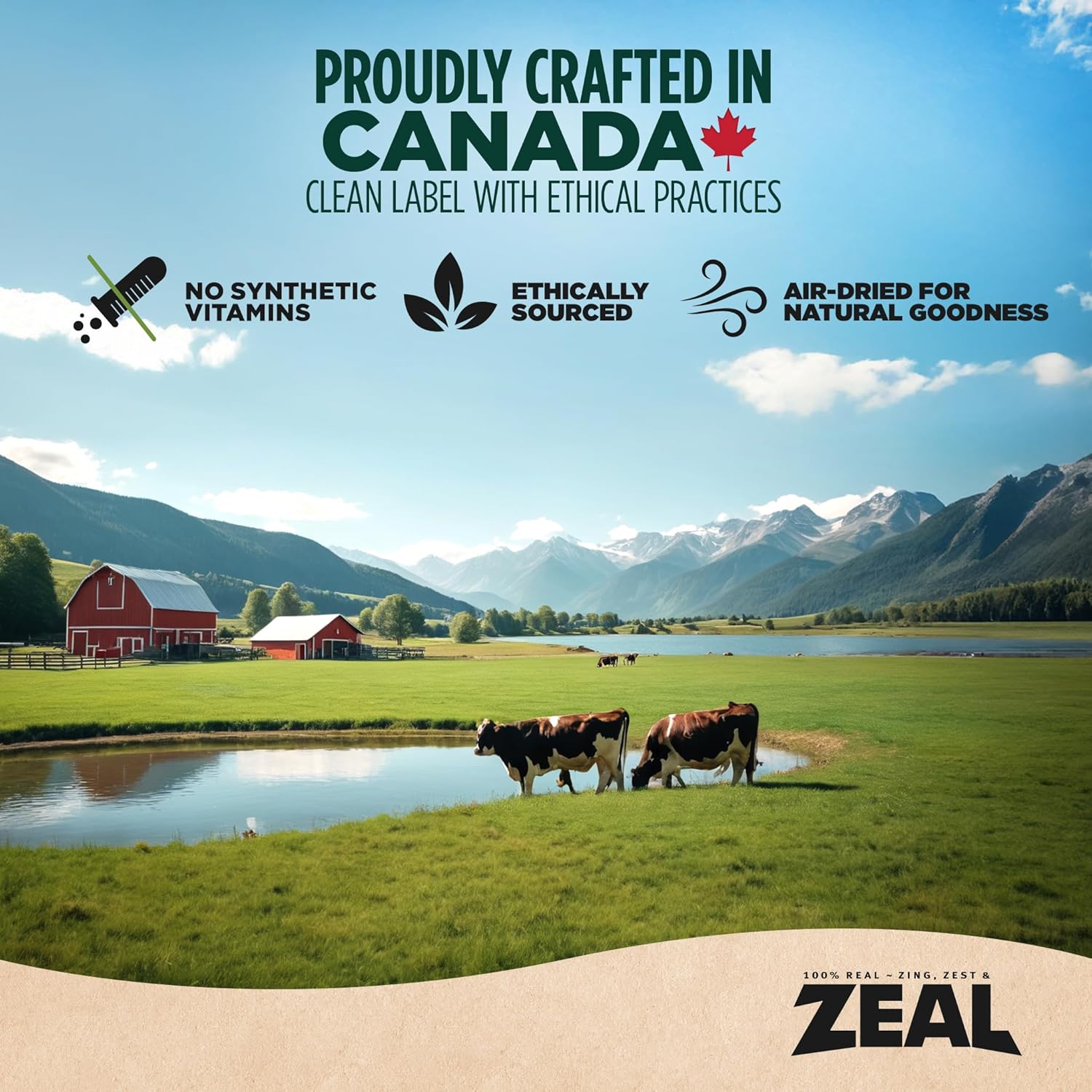 ZEAL Canada Air-Dried Cat Food Chicken Recipe – High Protein, Natural Superfoods, Nutrient Rich, No Fillers, Grain Free, Complete & Balanced (Chicken, 14.1 oz)
