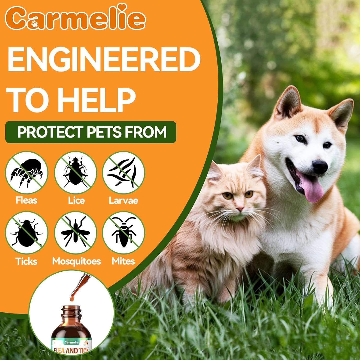 Oral Flea and Tick Prevention for Dogs and Cats, Natural Dog Flea and Tick Treatment, Cat Flea Control Medicine & Treatment, Flea Drops Supplements with Vitamin for Pets – All Breeds and Ages – Bacon