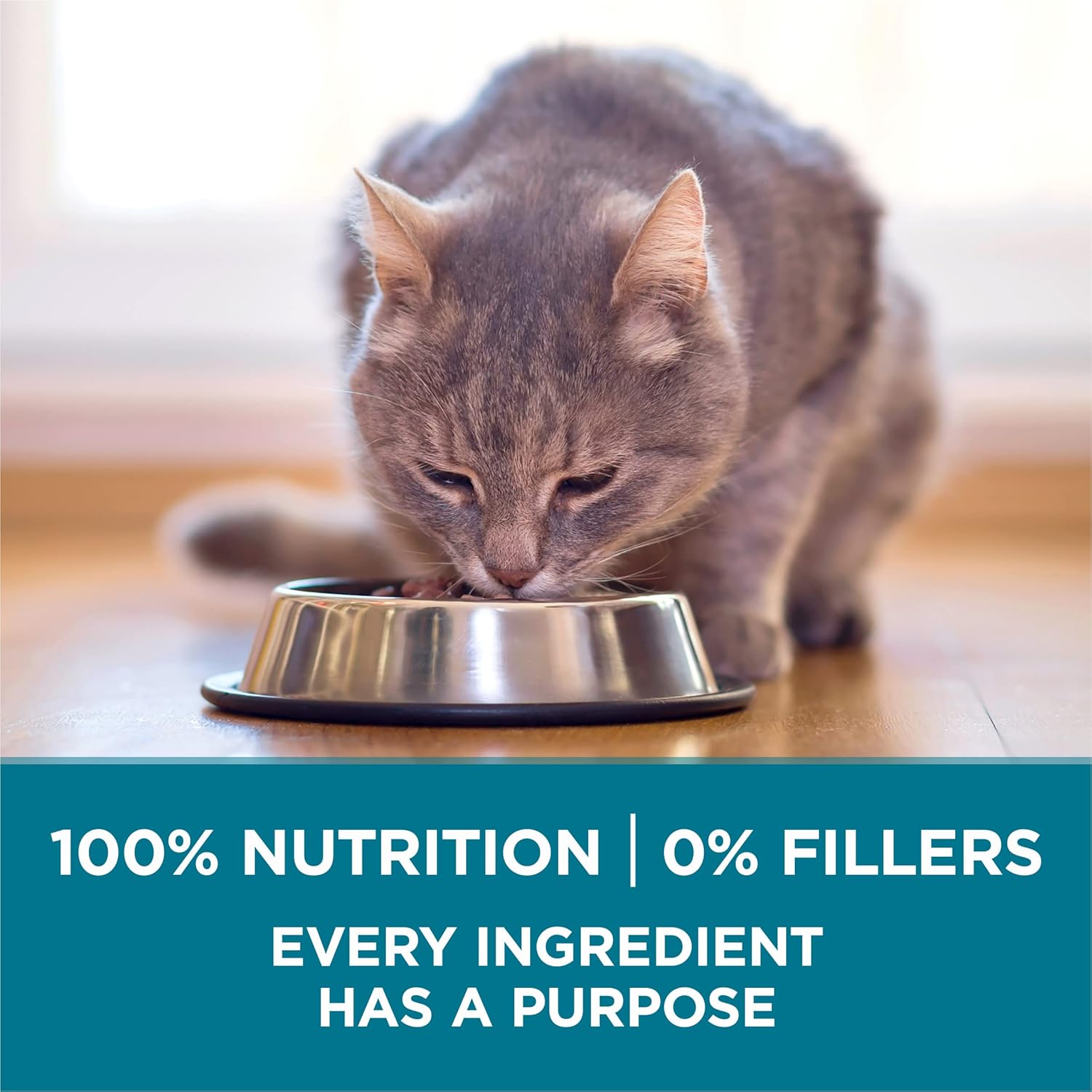 Purina ONE Natural Dry Cat Food, Tender Selects Blend With Real Salmon – 16 lb. Bag