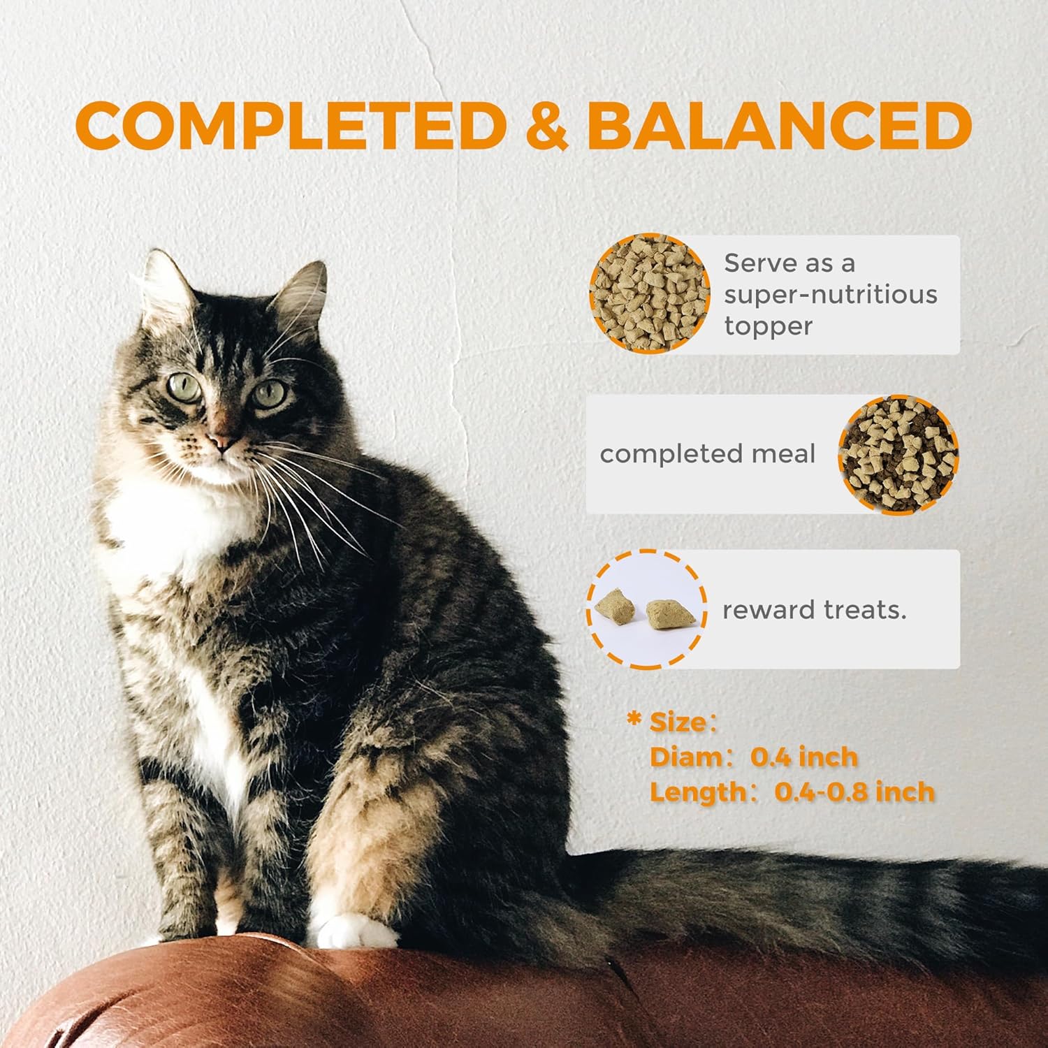 FURRY WONDER Freeze Dried Raw Cat Food Duck and Chicken Recipe 16 Ounce, USA Made High Protein Grain Free Cat Food for Complete Meal or Food Topper, Freeze Dried Raw Diet for Growth & Thrive