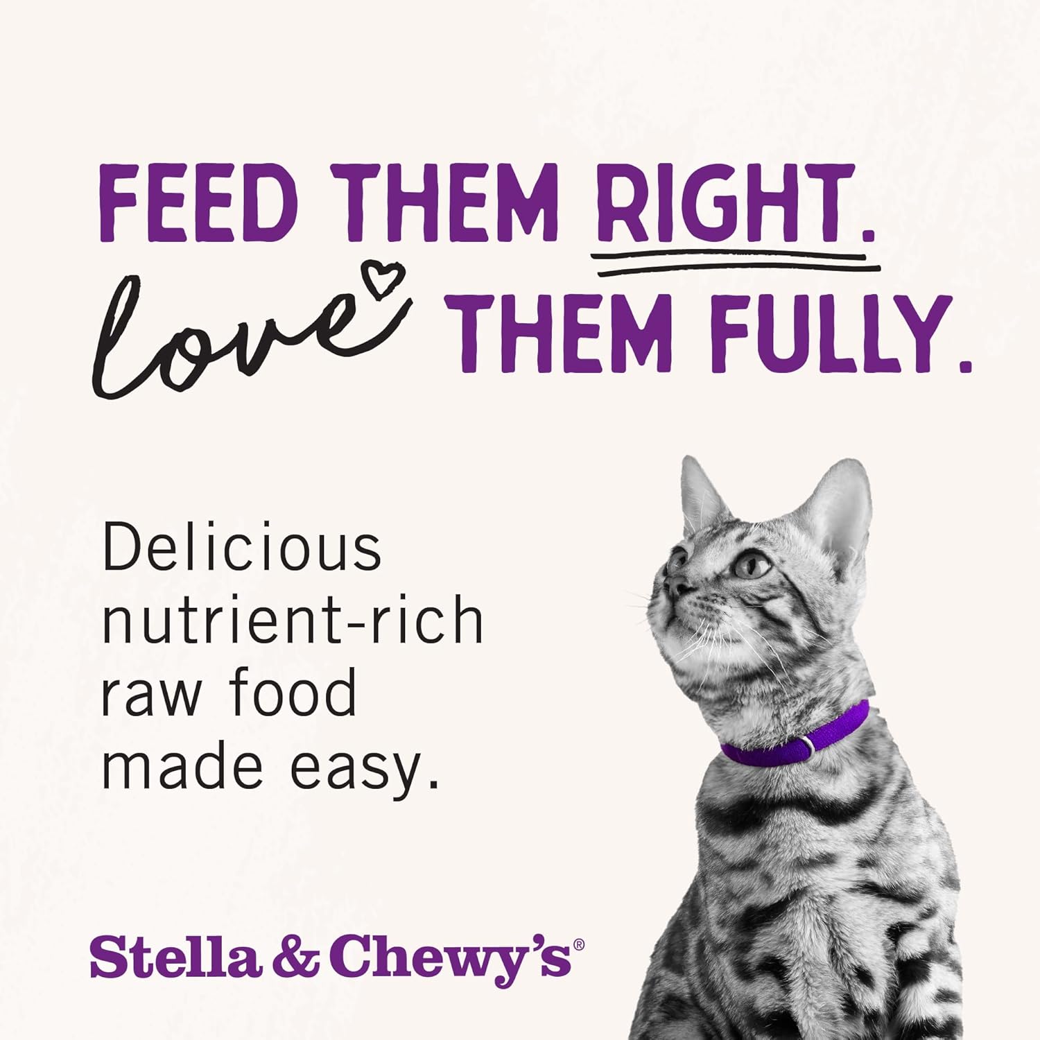 Stella & Chewy’s Freeze-Dried Raw Cat Dinner Morsels – Grain Free, Protein Rich Cat & Kitten Food – Duck Duck Goose Recipe – 3.5 oz Bag