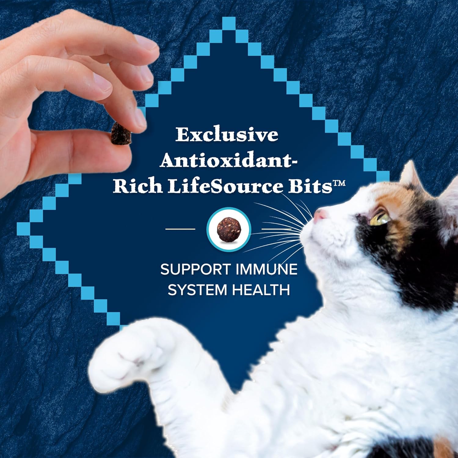 Blue Buffalo Wilderness Nature’s Evolutionary Diet High-Protein, Grain-Free Natural Dry Food for Adult Cats, Chicken, 11-lb. Bag