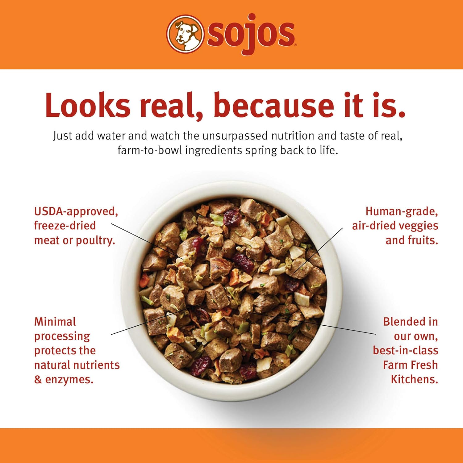 SOJOS Complete Beef Recipe Dehydrated Dog Food, 1.75 lb, Yellow