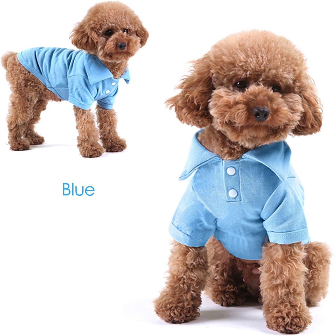 KINGMAS 4 Pieces Dog T-Shirt, Breathable Pet Shirts, Puppy Sweatshirt Dog Clothes Outfit Apparel Coats for Small Medium Dogs Cats (Blue, Green, Red, Orange) – X-Small