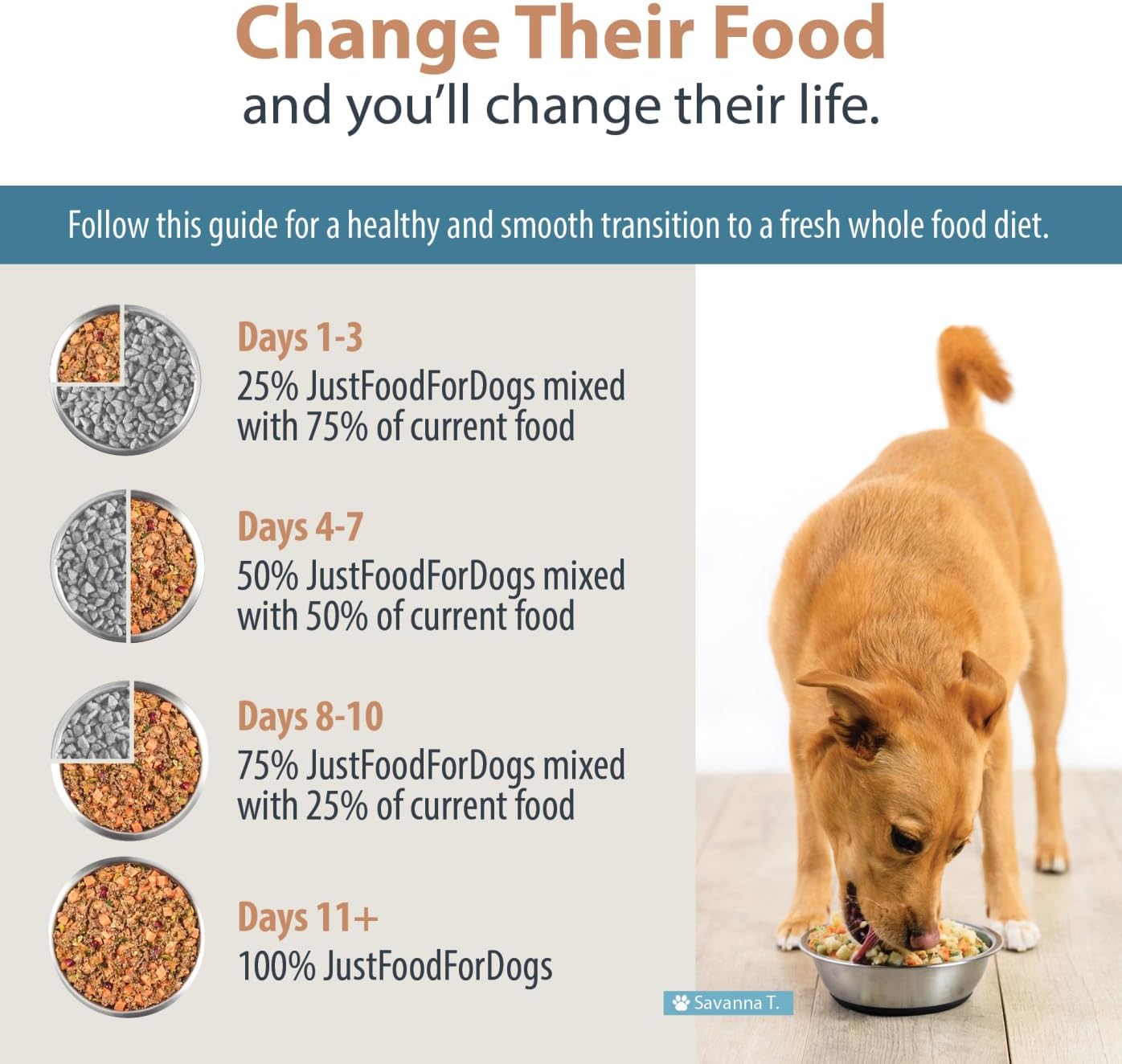 JustFoodForDogs Metabolic Human Grade Dog Food, Fresh Frozen, RX, Vet Recommended 18 oz (Pack of 7)
