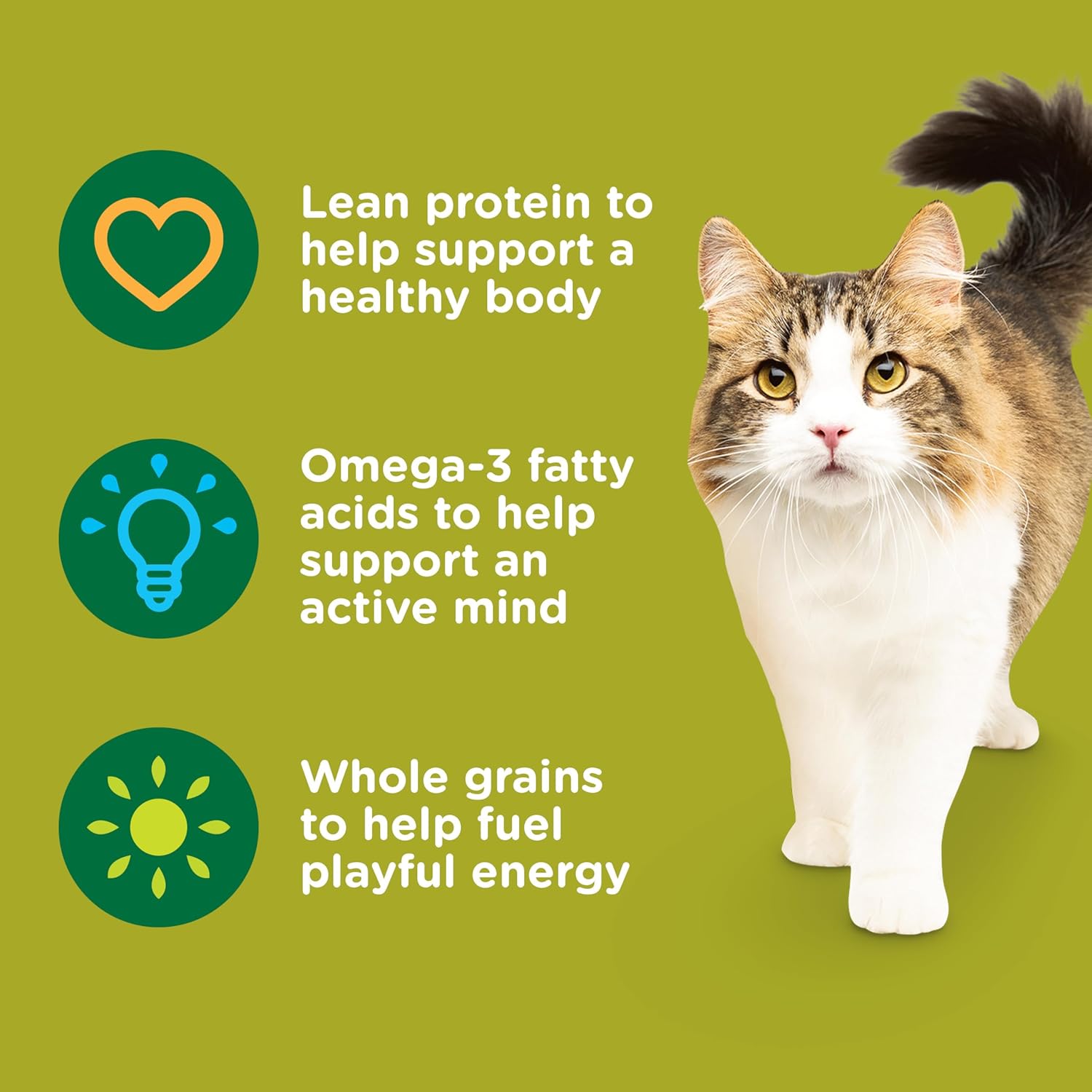 Rachael Ray Nutrish Premium Natural Dry Cat Food, Real Chicken & Brown Rice Recipe, 14 Pounds (Packaging May Vary)
