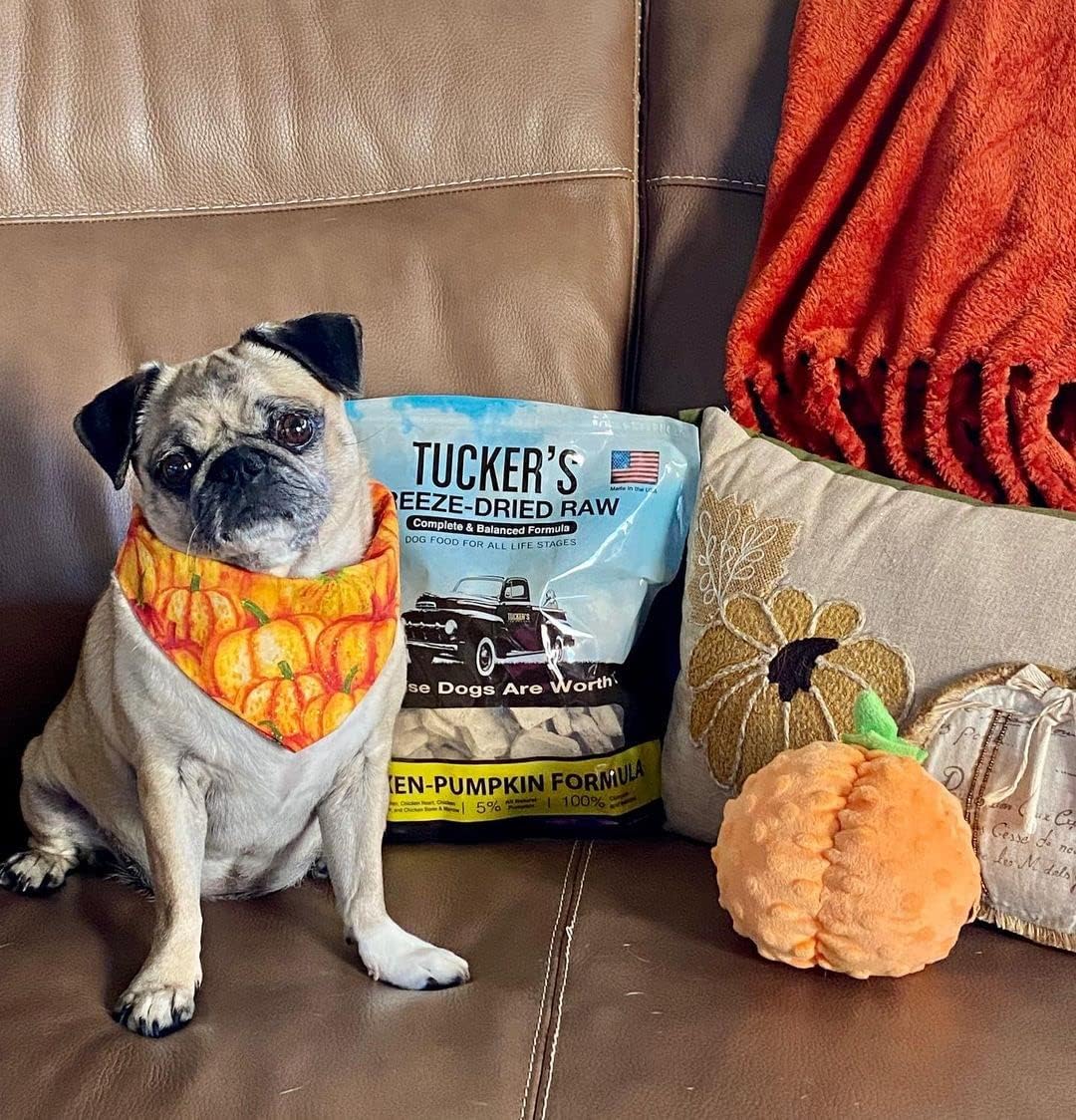 Tucker’s Raw Frozen Freeze Dried Raw Dog Food, Chicken & Pumpkin Formula 14oz