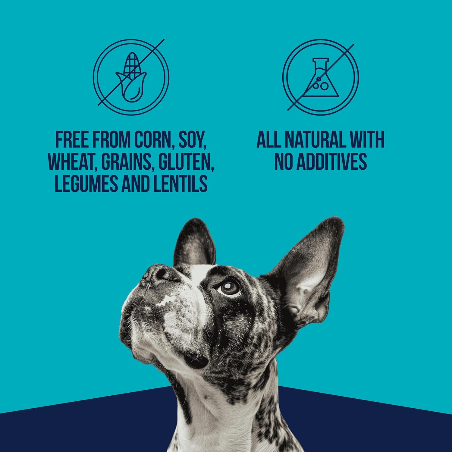 Stewart Single Ingredient Freeze Dried Raw Dog Treats, Wild Salmon, 9.5 Ounce Resealable Tub, Training Treats or Meal Topper for All Size Dogs, High Protein, Grain-Free, Gluten-Free