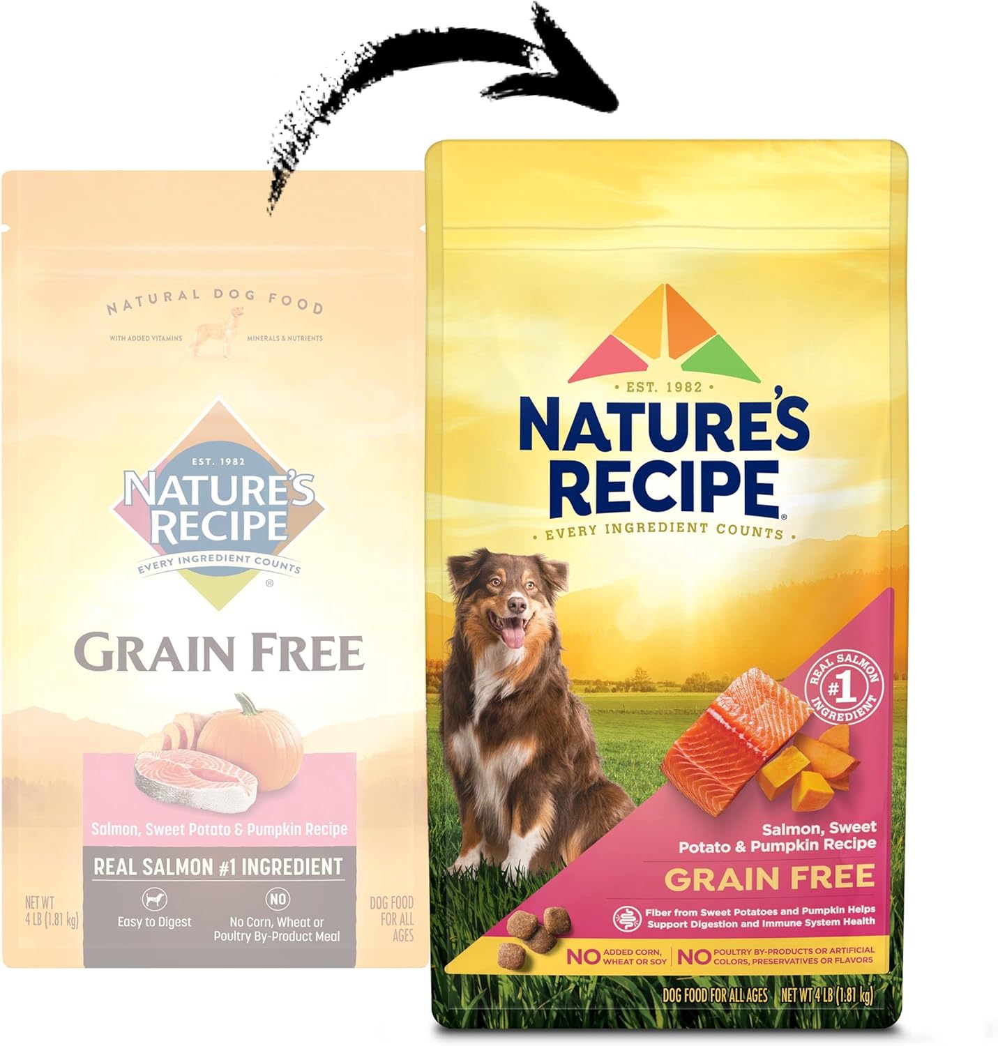 Nature′s Recipe Grain Free Salmon, Sweet Potato & Pumpkin Recipe Dry Dog Food, 4 lb. Bag