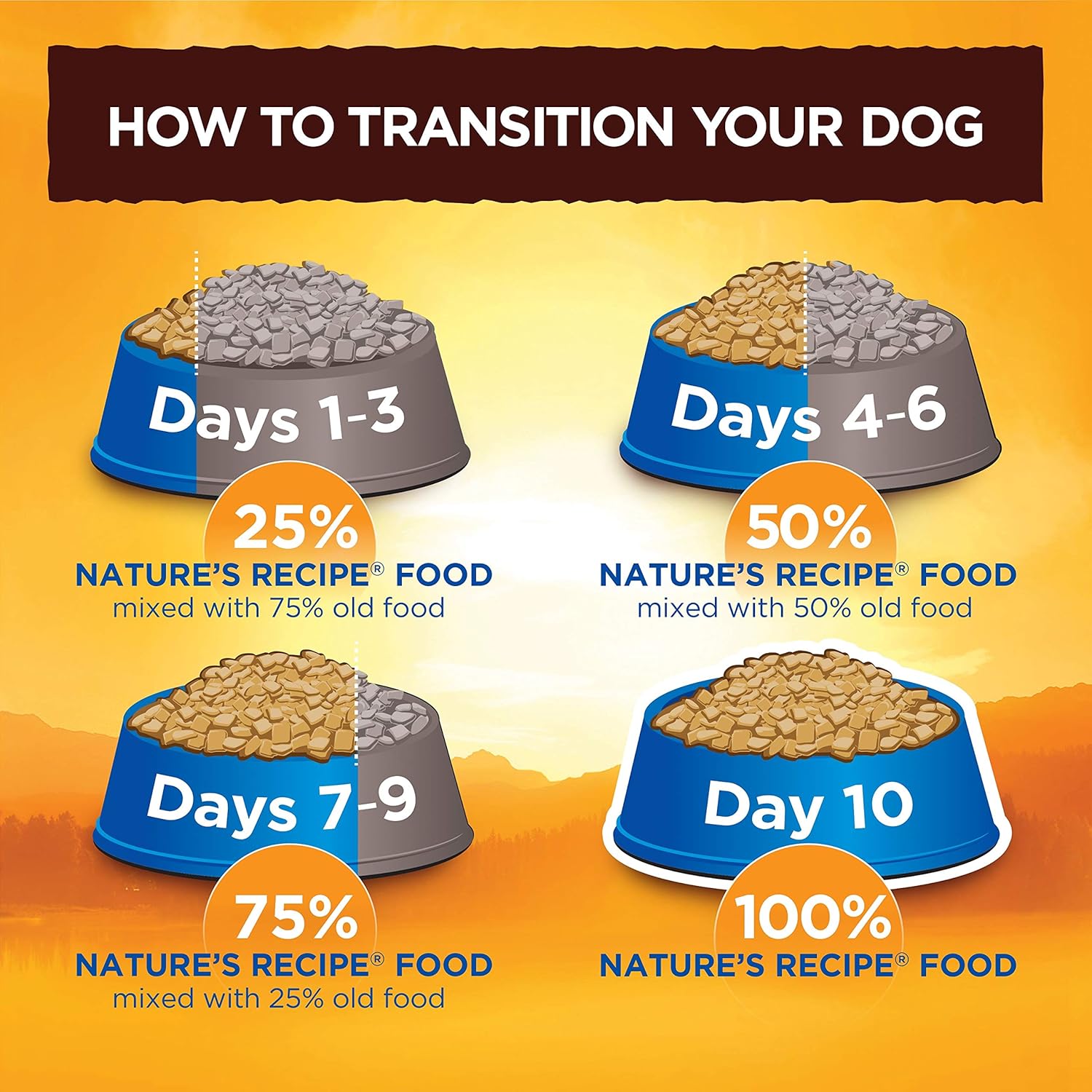 Nature′s Recipe Grain Free Salmon, Sweet Potato & Pumpkin Recipe Dry Dog Food, 4 lb. Bag