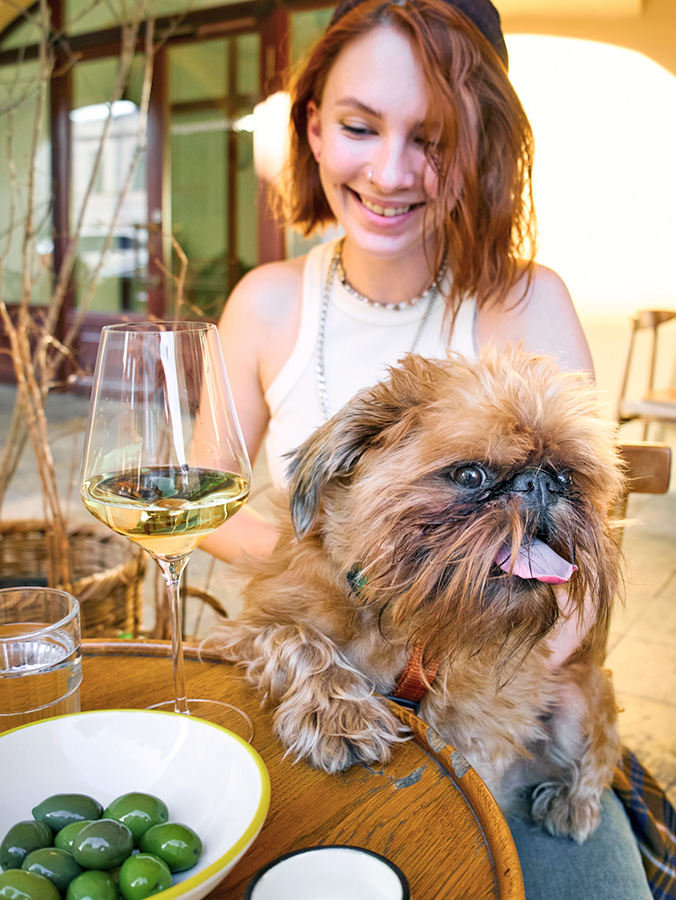 Can Dogs Eat Olives? Learn if They Are Toxic or Not · Kinship