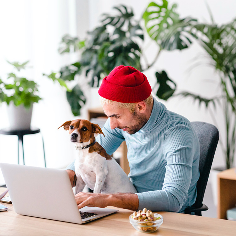 Can Dogs Eat Pistachios? Find Out if They Are Toxic · Kinship