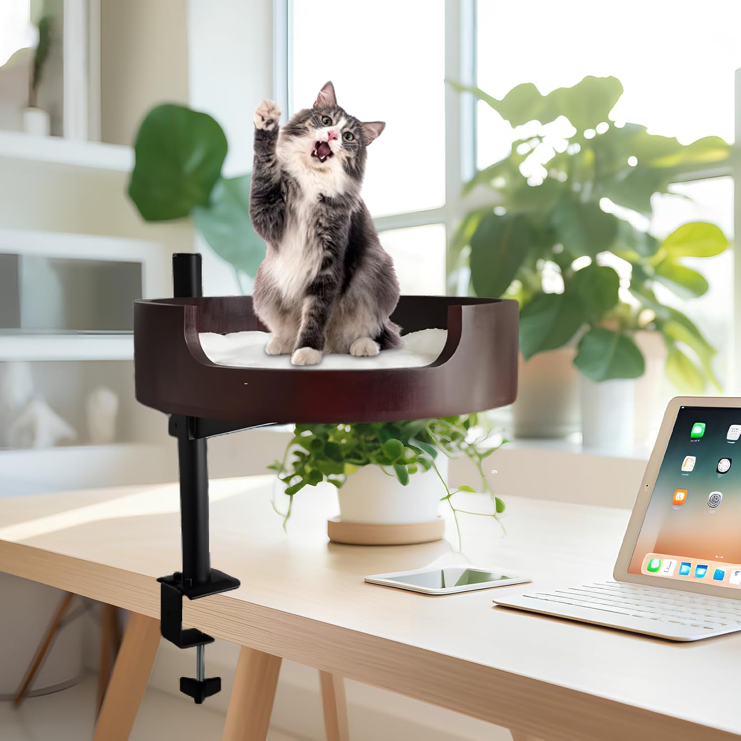 Cat Desk Bed – Adjustable Wooden Cat Bed for Home Office and Study Rooms, Desktop Kitten Furniture Attachment with Pet Mat, Ball, Mouse (Large)