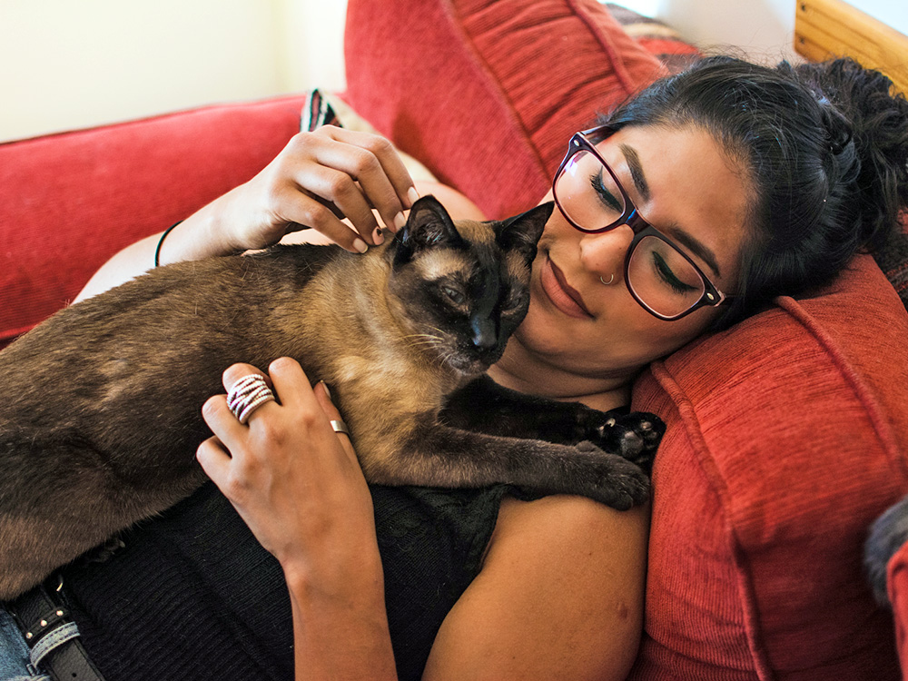 Cats Have the Same 4 Attachment Styles as People, Study Says · Kinship
