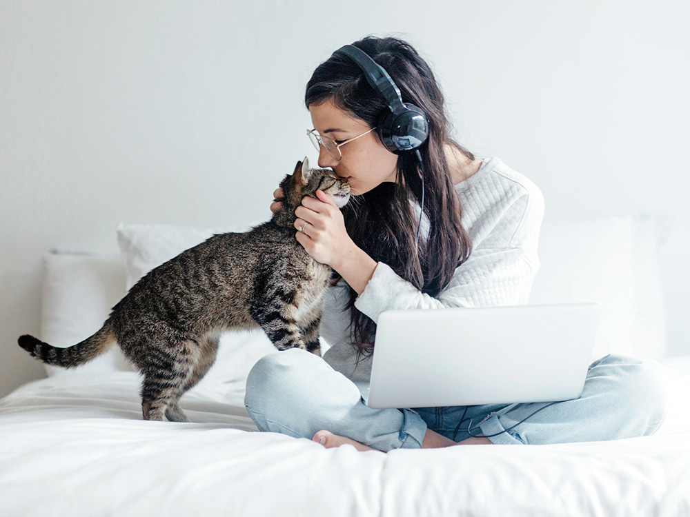 Cats Release Oxytocin When Cuddling With Humans—But Only on Their Terms · Kinship