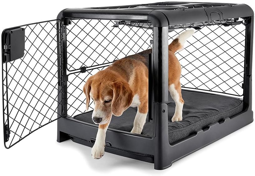 DIGGS Revol Collapsible Dog Crate with Wheels – Premium Portable Dog Crate – Safe, Stylish, and Convenient Indoor Kennel (Charcoal, Medium)