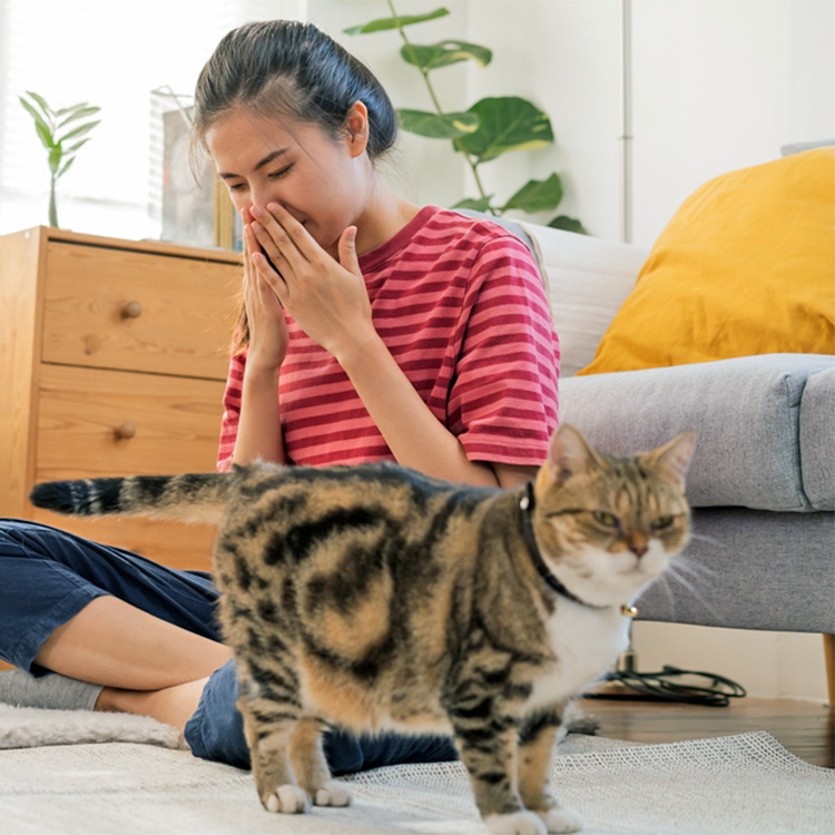 Do Cats Fart? Experts Answer · Kinship