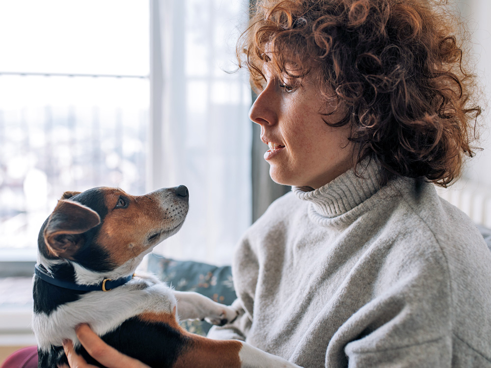 Does It Affect Your Dog if You Change Their Name After Adopting Them? · Kinship