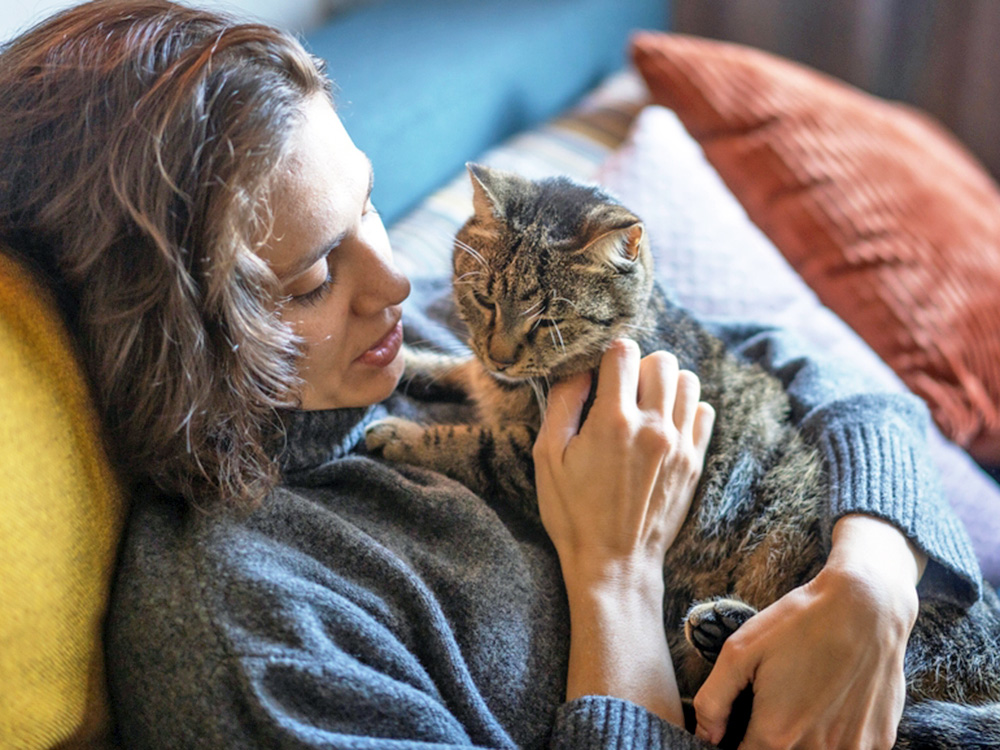 Does Your Cat Have Dementia? And How to Treat It · Kinship