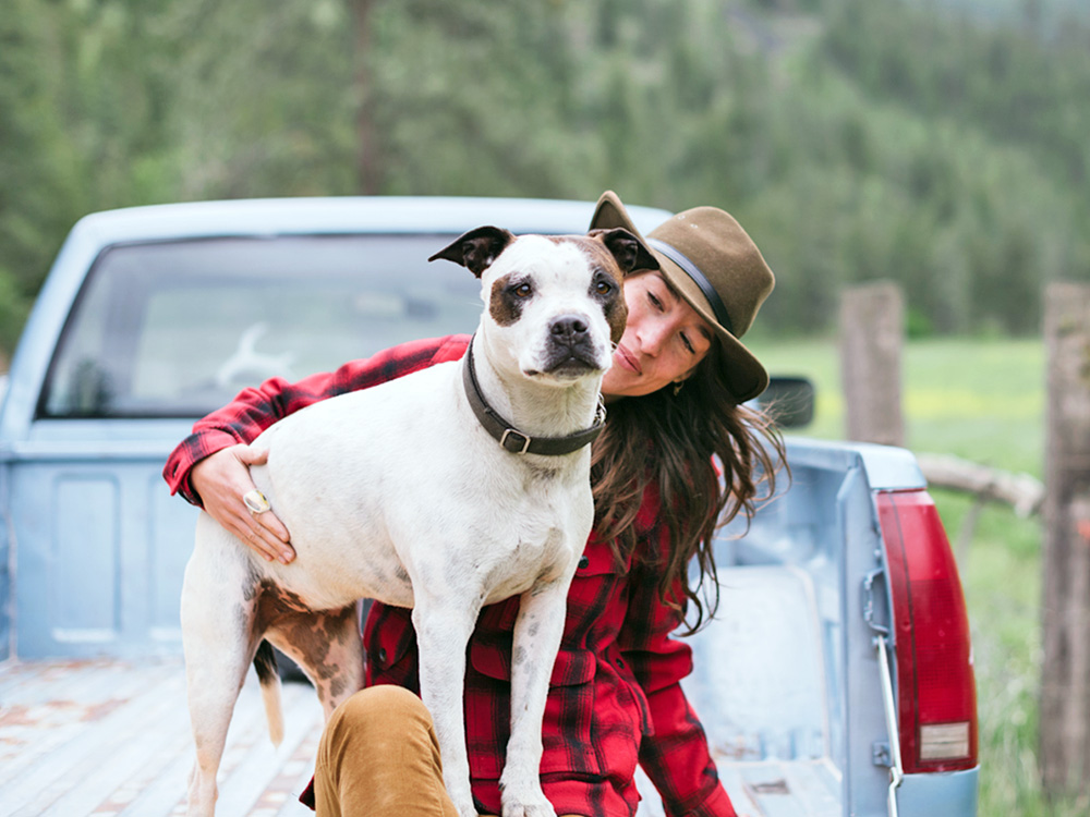 How to Keep Flies Off Your Dog—What You Can Do · Kinship