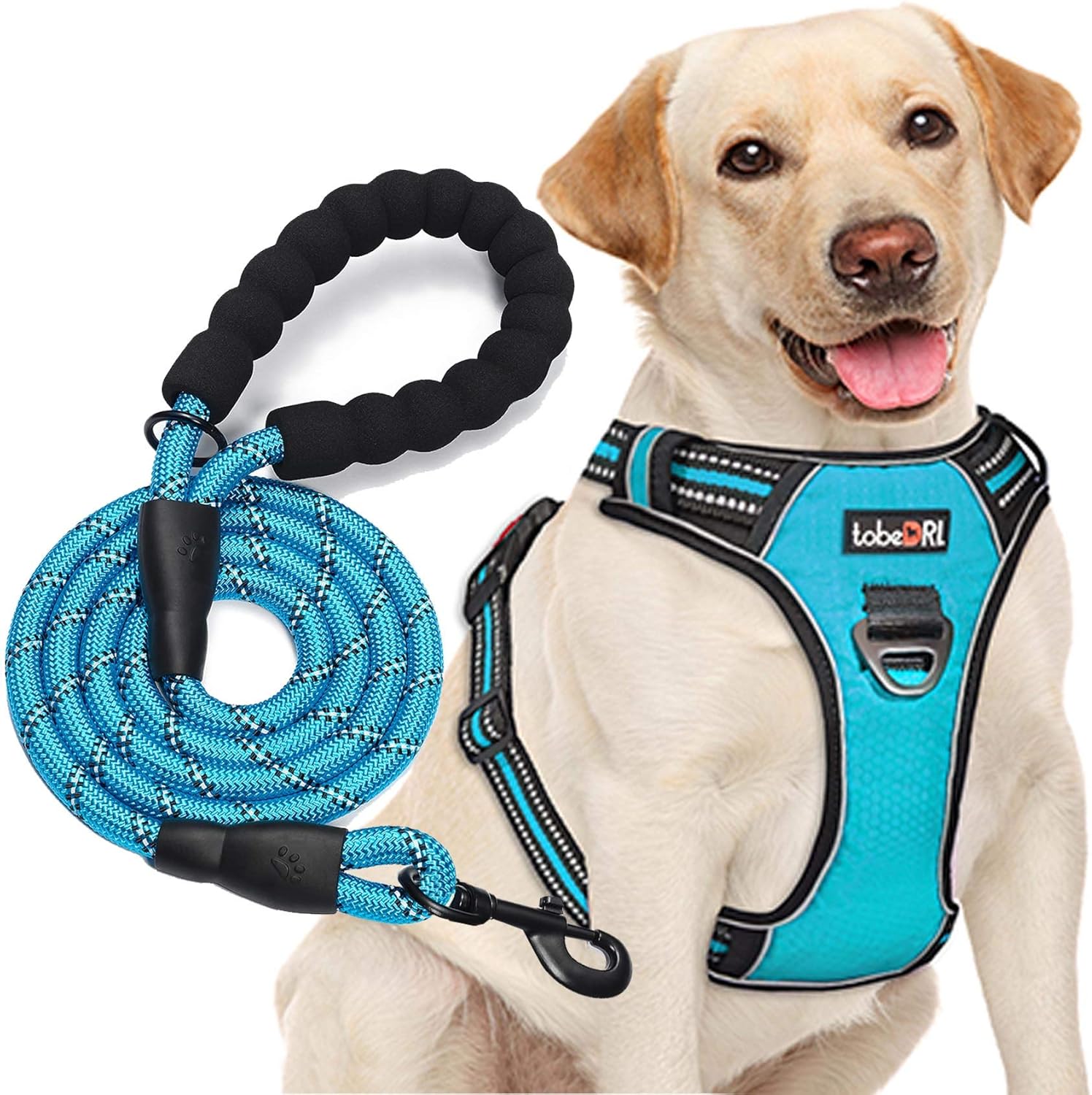 No Pull Dog Harness Adjustable Reflective Oxford Easy Control Medium Large Dog Harness with A Free Heavy Duty 5ft Dog Leash (L (Neck: 18″-25.5″, Chest: 24.5″-33″), Blue Harness+Leash)