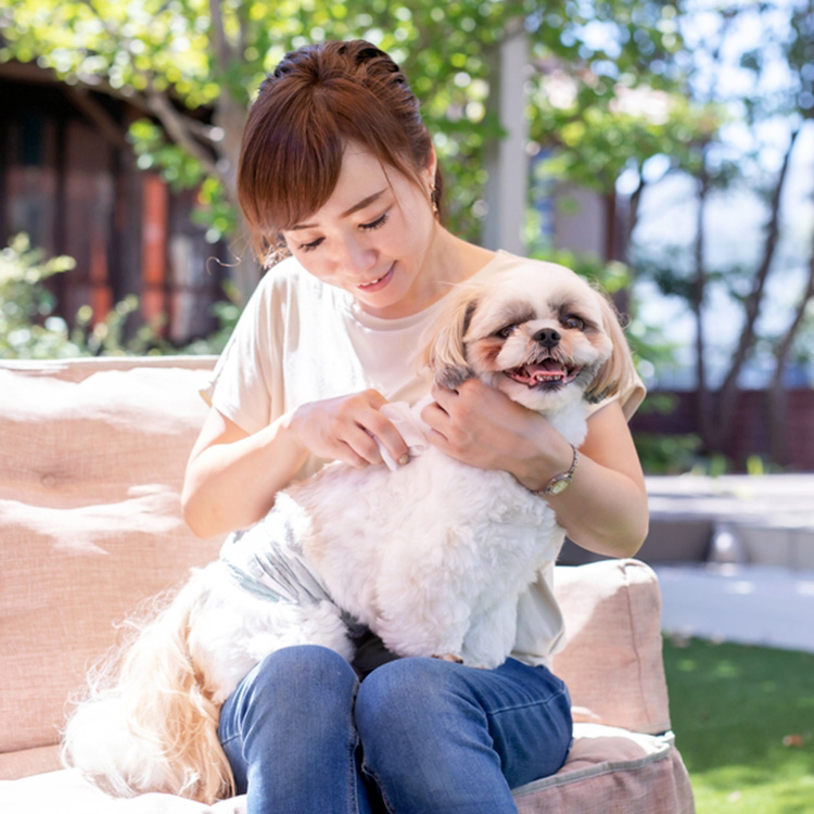 What to Do About Bug Bites on Your Dog—How to Help Them · Kinship