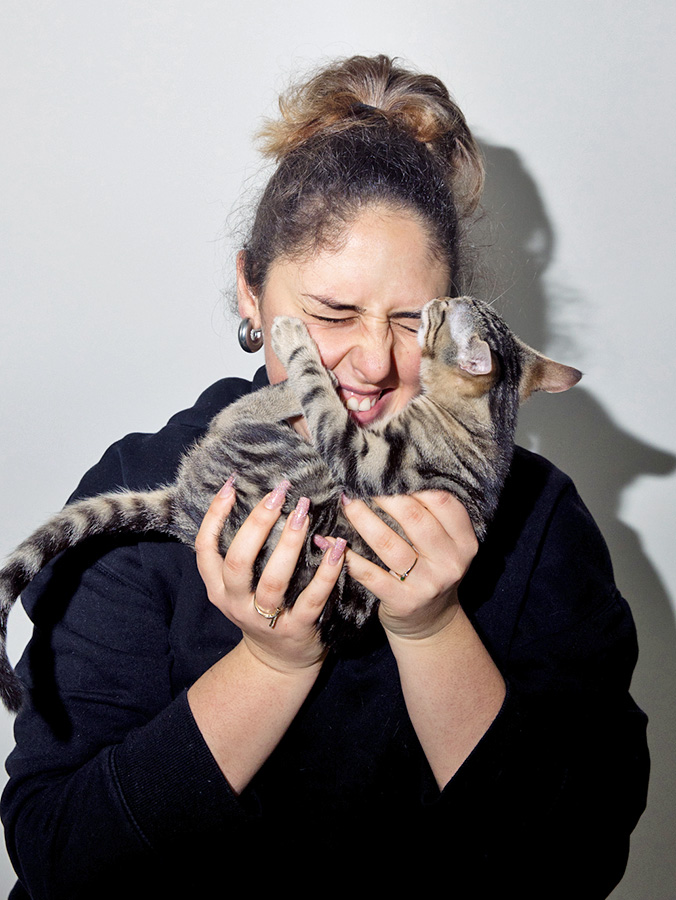 Why Do Cats Cat Give Us Such Mixed Signals? What It Means · Kinship