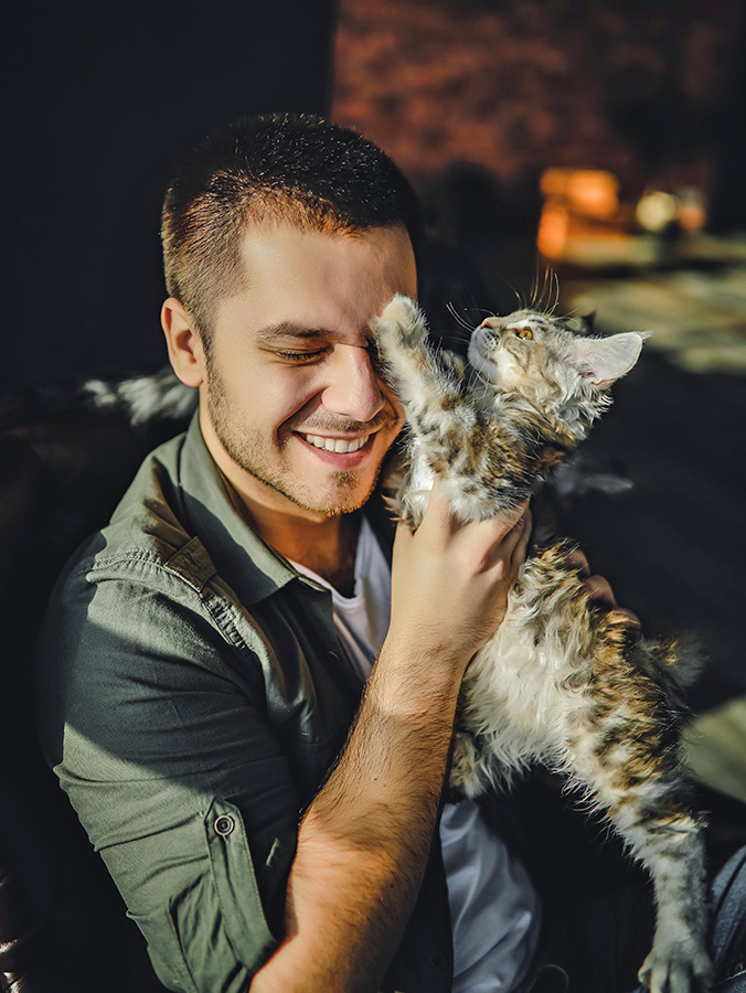 Why Does My Cat Slap Me? Find Out What This Means · Kinship
