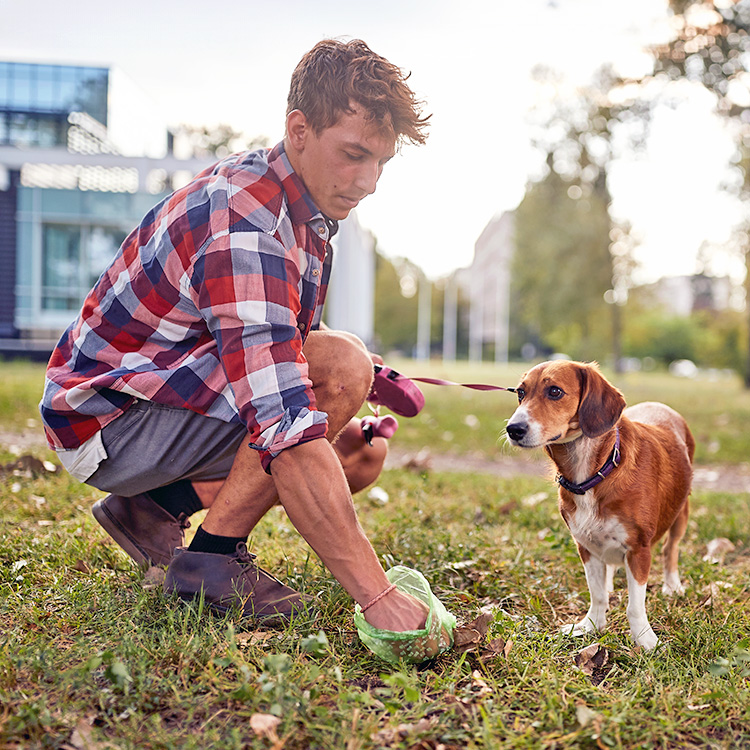 Why Is My Puppy’s Poop Soft? Here’s What Causes This · Kinship