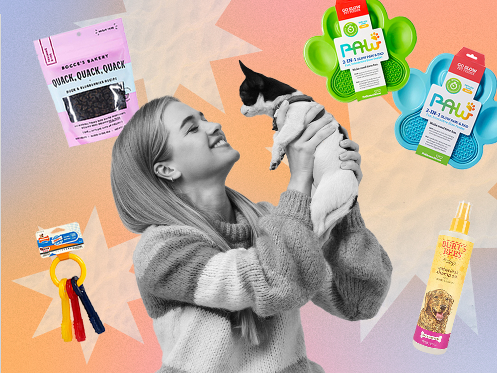 Your Ultimate Foster-Dog Shopping List · Kinship