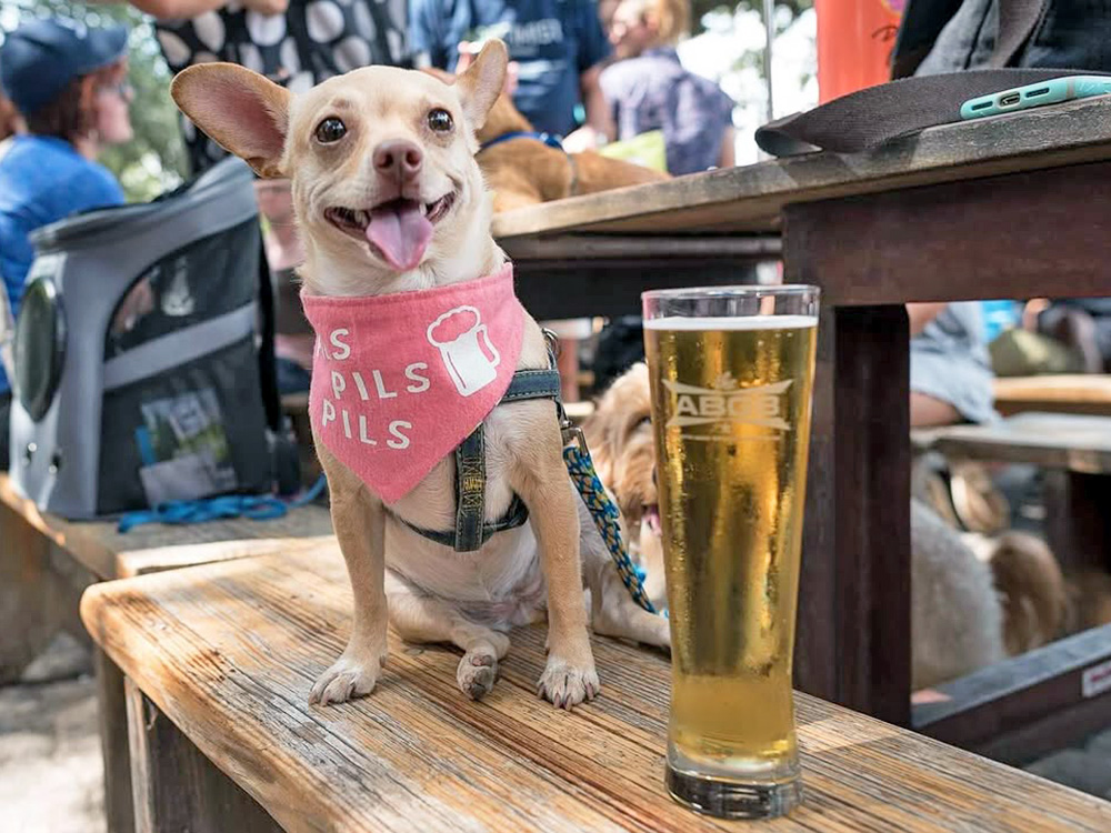 10 Best Dog-Friendly Breweries in the U.S. Where You Can Chill With Your Pup · Kinship