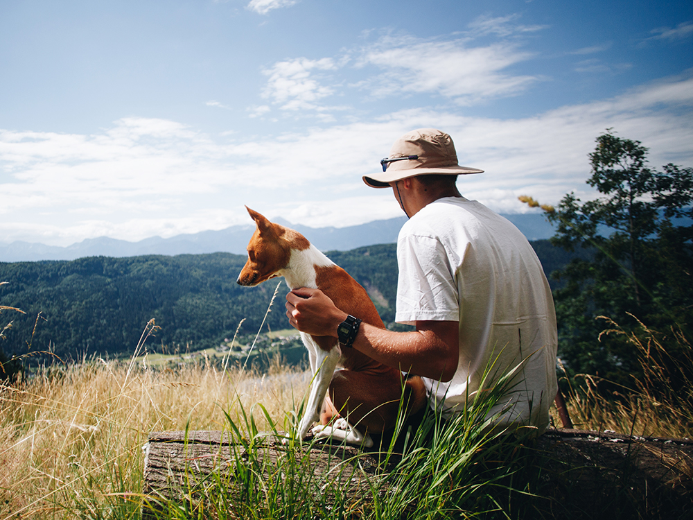 8 Ways to Be a More Eco-Friendly Pet Parent · Kinship
