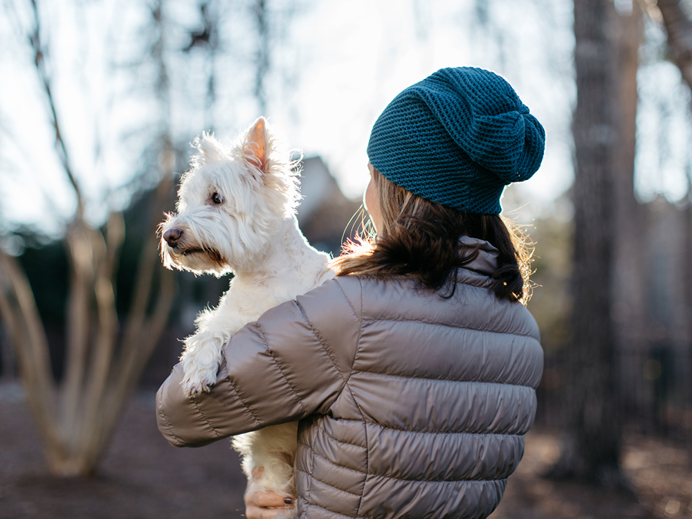 9 New Year’s Resolutions For You — and Your Pet · Kinship