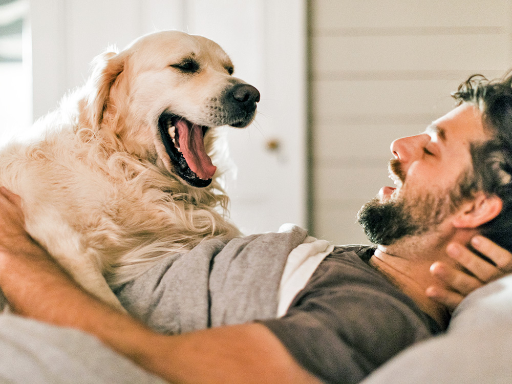Are Dog’s Yawns Contagious? · Kinship