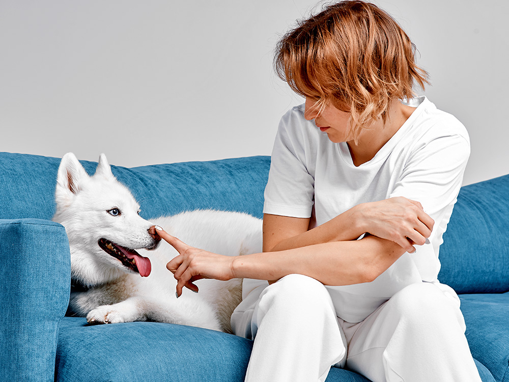 Do Dogs Hate Being Booped? · Kinship