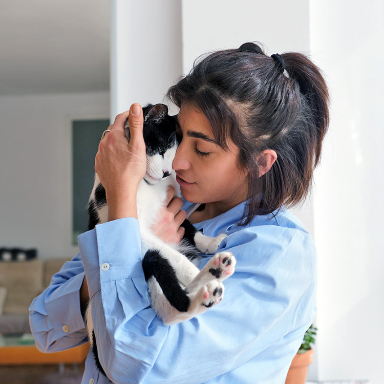 Does Your Cat Love You? How to Interpret Bonding Behavior · Kinship