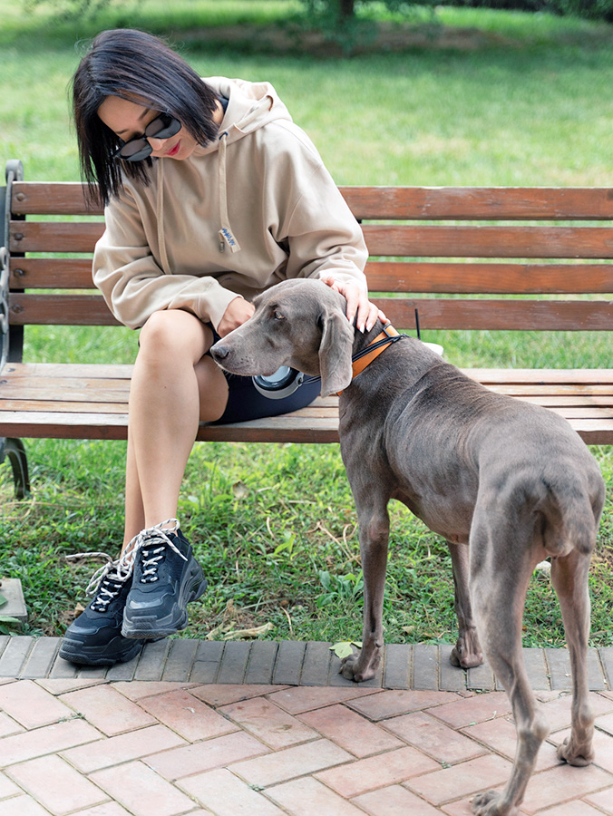 Help, My Dog Is Peeing Blood. Why Is There Blood in Dog Urine? · Kinship