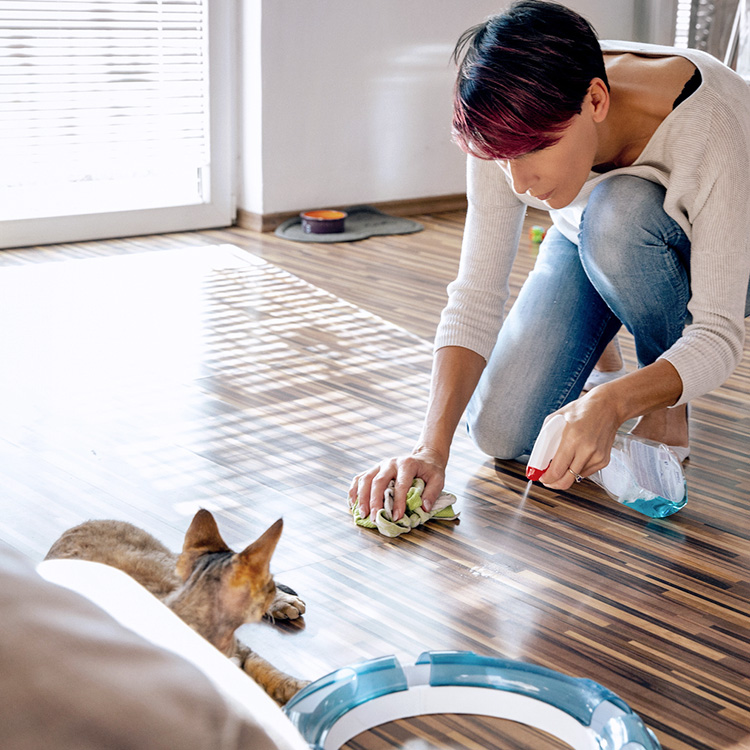 How to Get Rid of Cat Pee Smell—Cleaning Tips · Kinship