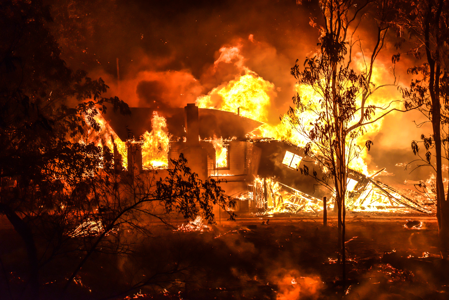 How to Help Pets Affected by the LA Fires—Where to Evacuate and Donate · Kinship