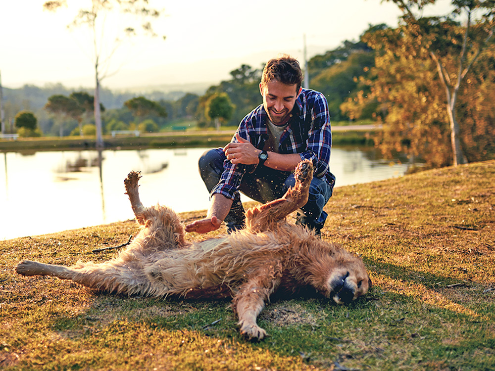 How to Teach Your Dog to Roll Over in 4 Simple Steps · Kinship