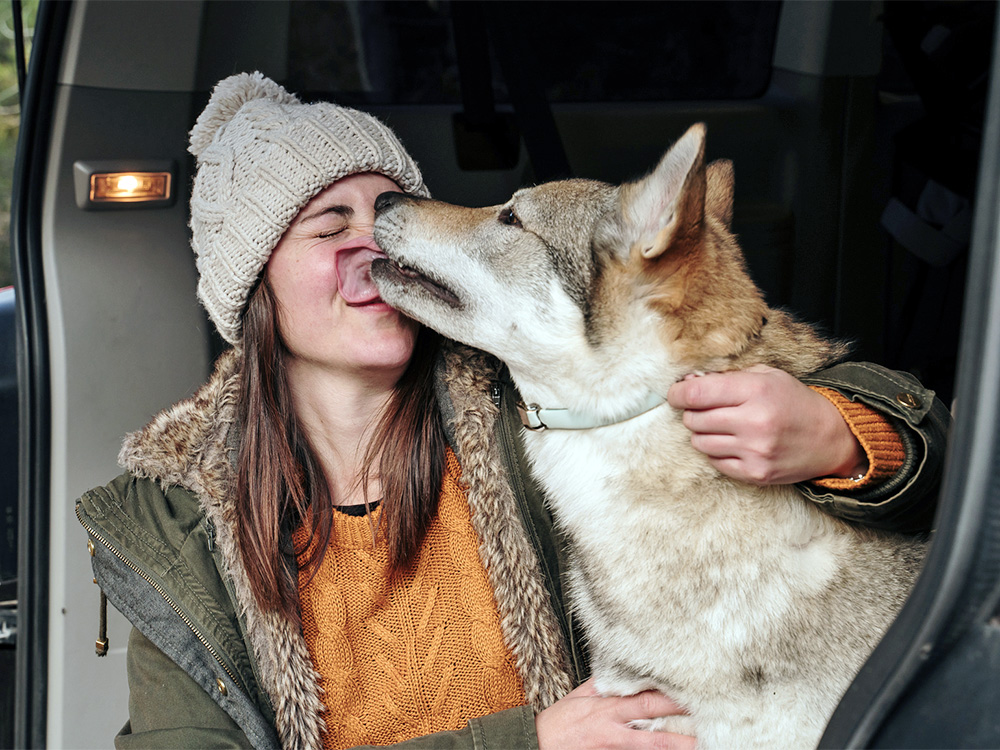 Letting Your Dog Lick Your Face Could Be Dangerous, New Study Finds · Kinship