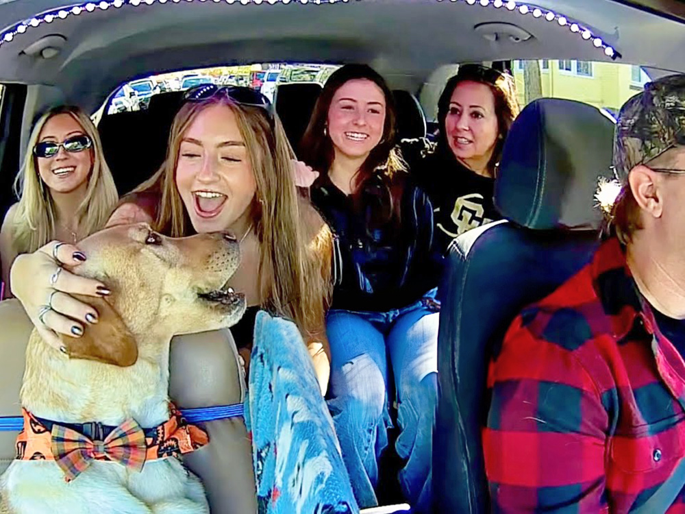 The Internet Is Obsessed With Bowie the “Uber Dog”—for Good Reason · Kinship