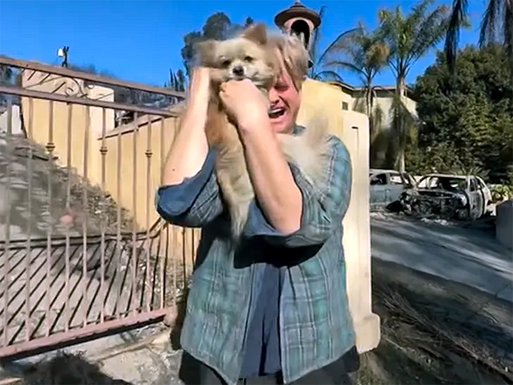 Video of Man Reuniting With Missing Dog 5 Days After His Home Burned Down in LA Fires · Kinship