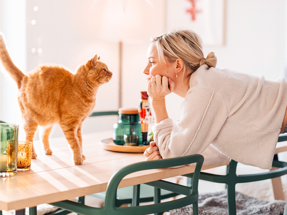 Want to Say “I Love You” to Your Cat? Try Slow-Blinking · Kinship