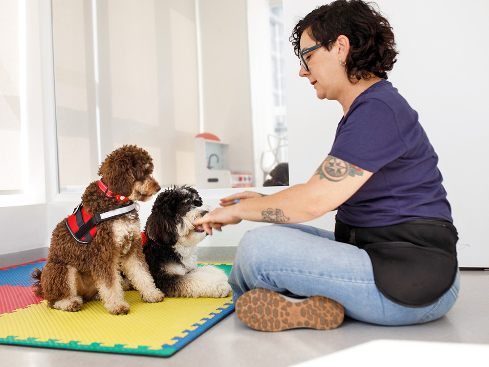 What are the Training Requirements for Service Dogs? · Kinship