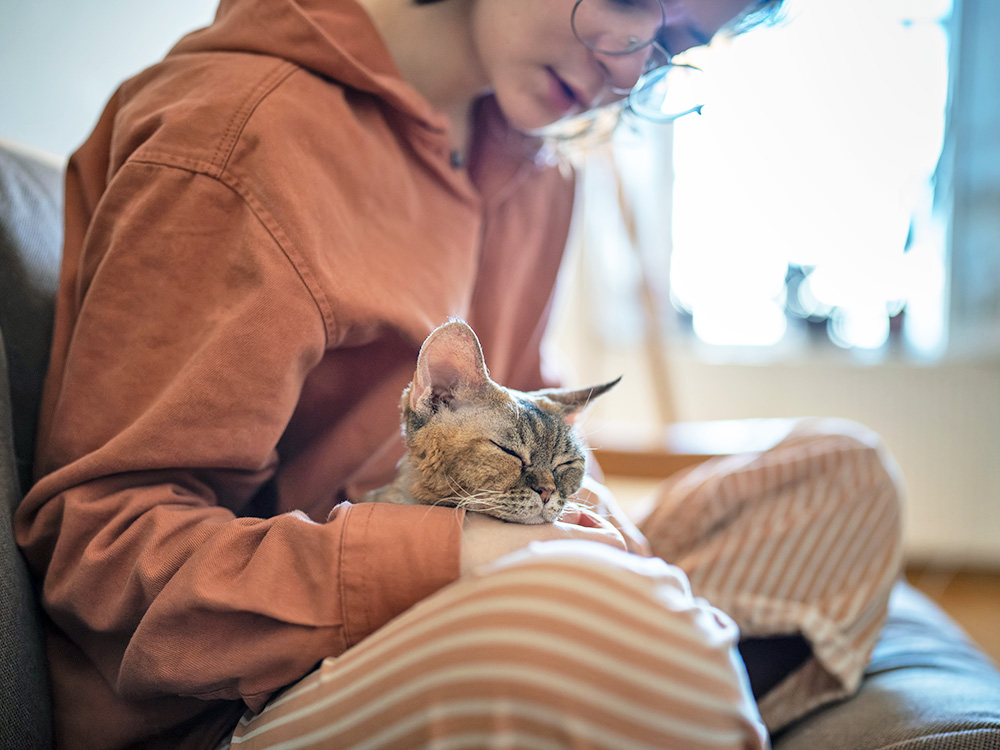 What to Do When Your Kitten Can’t Poop · Kinship